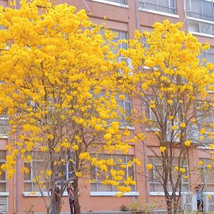 97大神超碰在线
